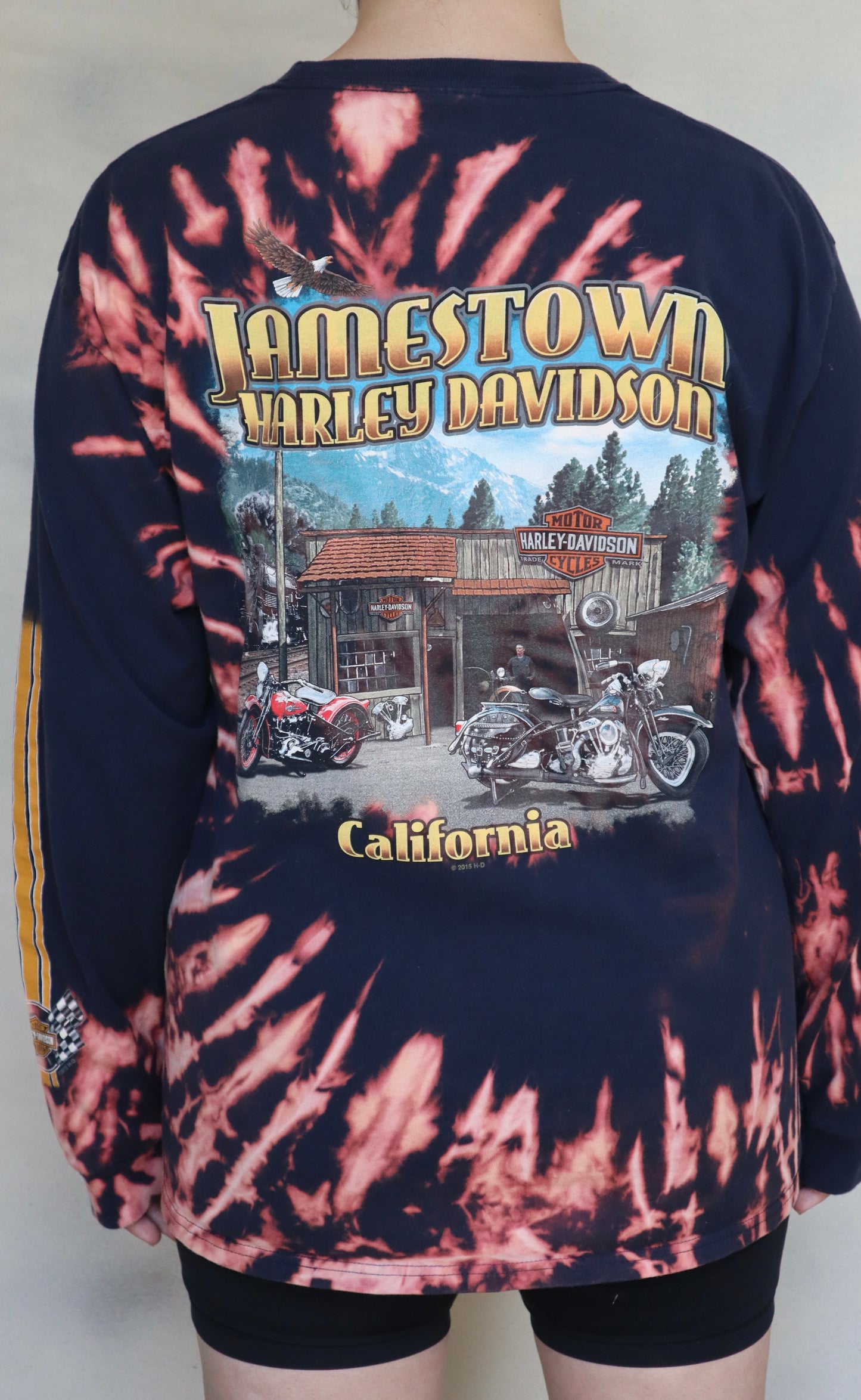 Harley Davidson California
